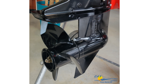 2024 suzuki marine df25aes black